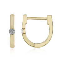 Orecchini in oro con Diamante Flawless (F)
