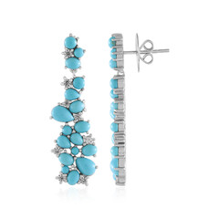 Orecchini in argento con Turchese Sleeping Beauty (Dallas Prince Designs)