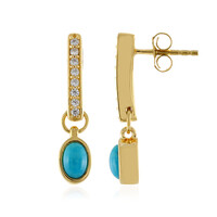 Orecchini in argento con Turchese