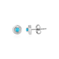Orecchini in argento con Turchese