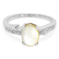 Anello in argento con Conchiglia Abalone