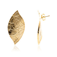 Orecchini in argento