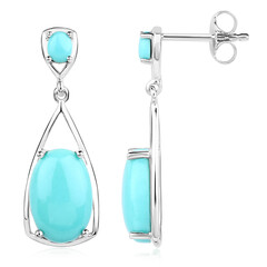 Orecchini in argento con Turchese
