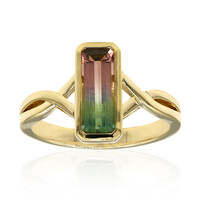 Anello in oro con Tormalina Bicolore