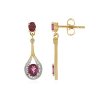 Orecchini in argento con Rodolite