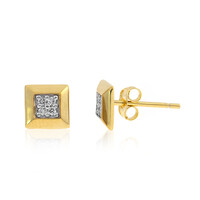 Orecchini in argento con Diamante I3 (I)