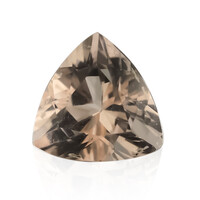 Gemma con Morganite Pesca