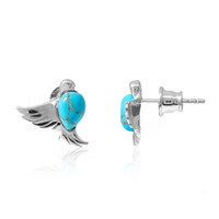 Orecchini in argento con Turchese