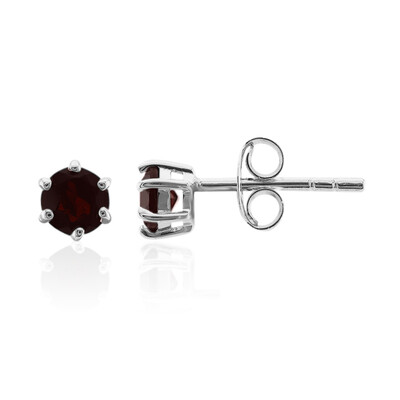 Orecchini in argento con Granato