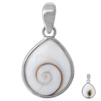 Ciondolo in argento con Occhio di Shiva