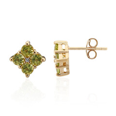 Orecchini in argento con Peridoto della Birmania