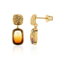 Orecchini in argento con Ambra Baltica