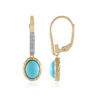Orecchini in argento con Turchese Sleeping Beauty (Faszination Türkis)