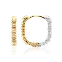 Orecchini in argento