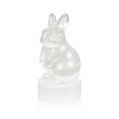Figura con Selenite