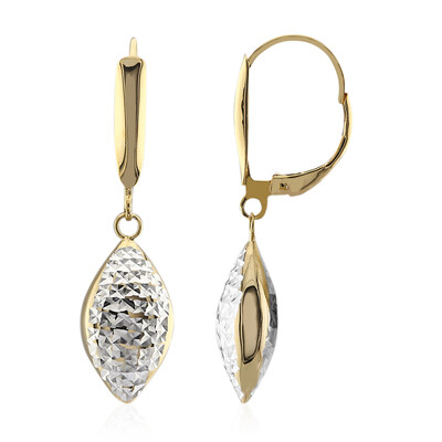 Orecchini in argento