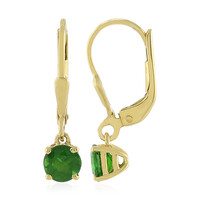 Orecchini in argento con Diopside Russo