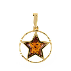 Ciondolo in argento con Ambra Baltica