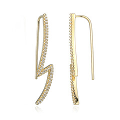 Orecchini in argento con Zircone