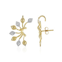 Orecchini in argento con Zircone