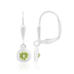 Orecchini in argento con Peridoto