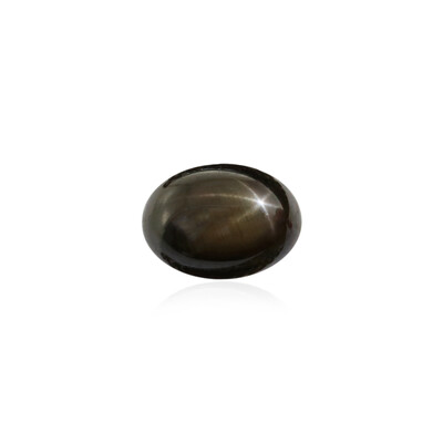 Gemma con Zaffiro Stellato Nero 1,305 ct