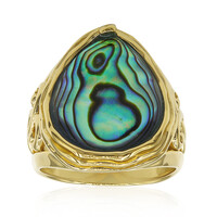Anello in argento con Conchiglia Abalone (Art of Nature)