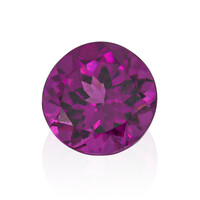 Gemma con Granato Magenta