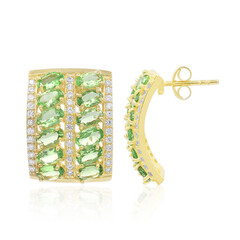 Orecchini in argento con Tsavorite