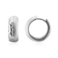 Orecchini in argento