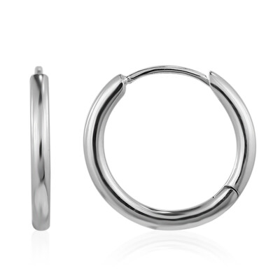 Orecchini in argento