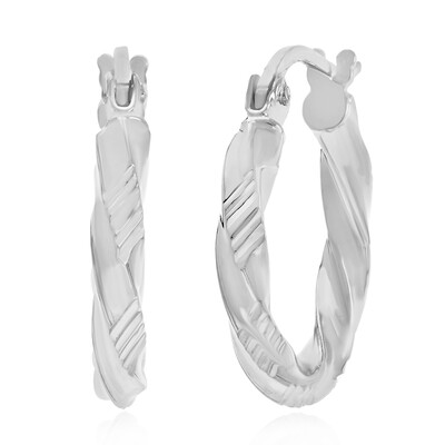 Orecchini in argento