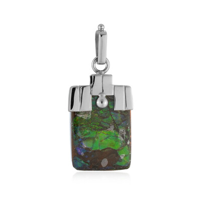 Ciondolo in argento con Ammolite
