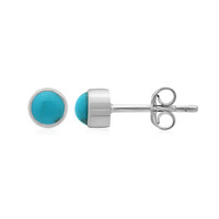 Orecchini in argento con Turchese