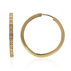 Orecchini in argento con Zircone