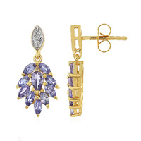 Orecchini in argento con Tanzanite