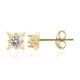 Orecchini in argento con Zircone