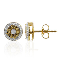 Orecchini in argento con Diamante PK (I)