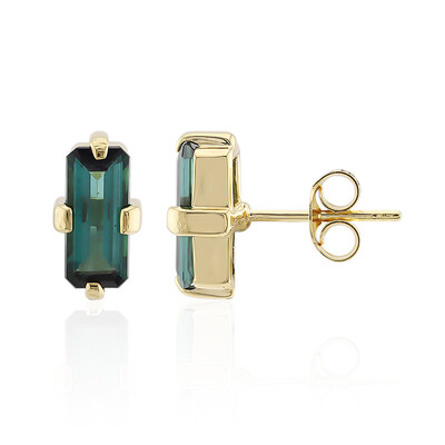 Orecchini in argento con Indicolite (Adela Silber)