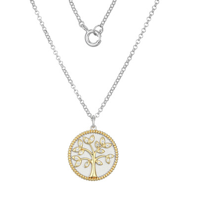 Collana in argento con Zircone