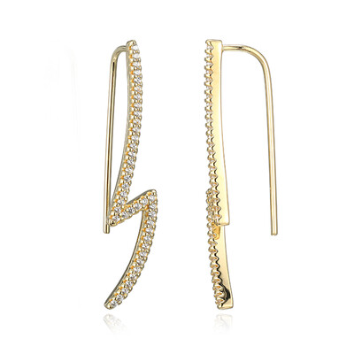 Orecchini in argento con Zircone