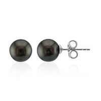 Orecchini in argento con Perla Tahitiana (TPC)