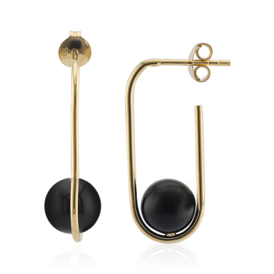 Orecchini in argento con Onice Nero