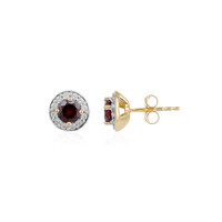 Orecchini in argento con Rodolite Lampone