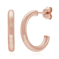 Orecchini in argento
