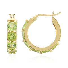 Orecchini in argento con Peridoto della Birmania