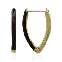 Orecchini in argento