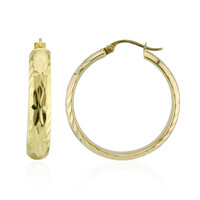 Orecchini in argento