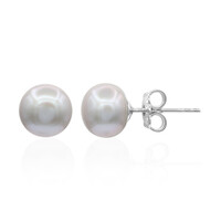 Orecchini in argento con Perla d'Acqua Dolce Argentata (TPC)