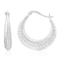 Orecchini in argento
